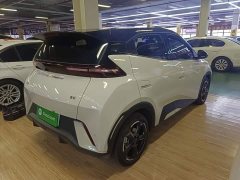 BYD Seagull Glory Edition 305km Freedom Version - ფოტო 6