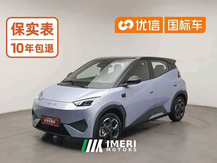 BYD Seagull Smart Driving Edition 305km Freedom Edition