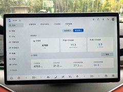 BYD Tang New Energy Smart Driving DM-i 175KM Premium Edition - фото 12