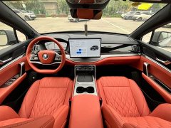 BYD Tang New Energy Smart Driving DM-i 175KM Premium Edition - фото 9