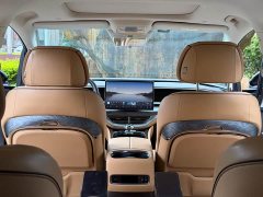 Denza D9 DM-i 980 AWD Luxury - фото 9