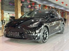 Tesla Model Y Standard Range RWD - фото 1