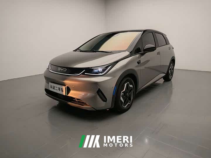 BYD Dolphin Smart Drive 420km Freedom Edition - автомобиль из Китая