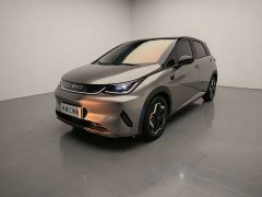 BYD Dolphin Smart Drive 420km Freedom Edition - фото 1