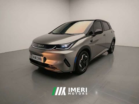2026 BYD Dolphin Smart Drive 420km Freedom Edition - ავტომობილი ჩინეთიდან