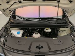 BYD Dolphin Smart Drive 420km Freedom Edition - фото 17