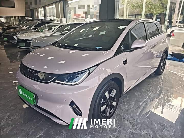 BYD Dolphin Smart Drive 410km Fashion Edition - автомобиль из Китая