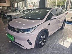 BYD Dolphin Smart Drive 410km Fashion Edition - фото 1