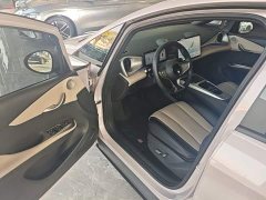 BYD Dolphin Smart Drive 410km Fashion Edition - фото 15