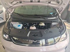 BYD Dolphin Smart Drive 410km Fashion Edition - фото 19