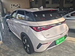 BYD Dolphin Smart Drive 410km Fashion Edition - фото 4