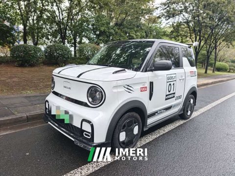 2025 Geely Panda 210km Panda Kart - ავტომობილი ჩინეთიდან