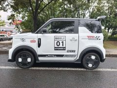 Geely Panda 210km Panda Kart - ფოტო 3
