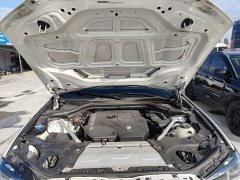 BMW X3 xDrive30i Leading Edition M Night Package - ფოტო 19