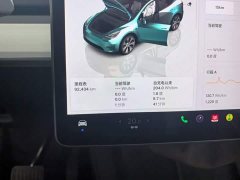 Tesla Model Y Rear-Wheel Drive - ფოტო 11