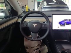 Tesla Model Y Rear-Wheel Drive - ფოტო 10
