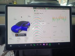 Tesla Model Y Rear-Wheel Drive - ფოტო 11