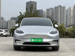 Tesla Model Y Rear-Wheel Drive - ფოტო 2