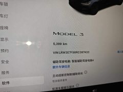 Tesla Model 3 Rear-Wheel Drive - ფოტო 8
