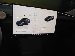 Tesla Model 3 Rear-Wheel Drive - ფოტო 9