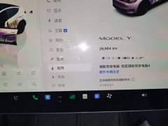 Tesla Model Y Rear-Wheel Drive - ფოტო 11