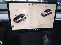 Tesla Model Y Rear-Wheel Drive - ფოტო 12
