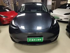 Tesla Model Y Rear-Wheel Drive - ფოტო 2