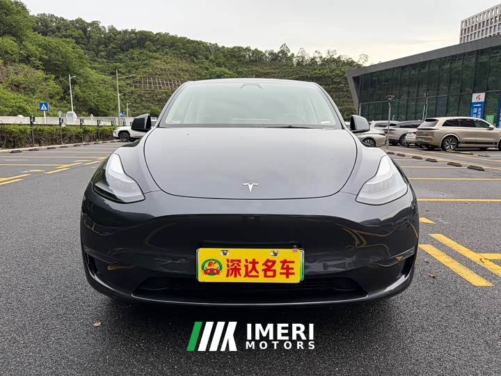 Tesla Model Y Long Range All-Wheel Drive - автомобиль из Китая