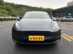 Tesla Model Y Long Range All-Wheel Drive - фото 1