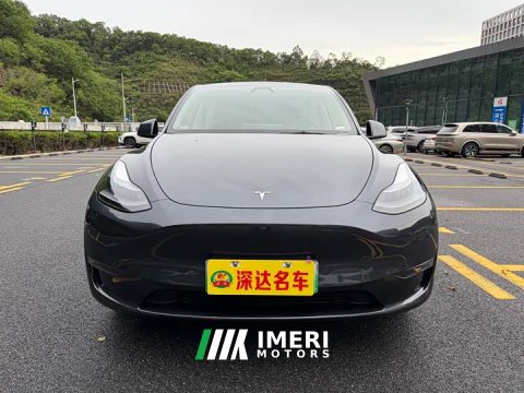 2024 Tesla Model Y Long Range All-Wheel Drive - ავტომობილი ჩინეთიდან