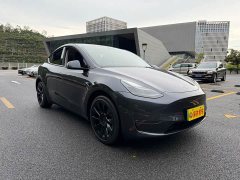 Tesla Model Y Long Range All-Wheel Drive - фото 3