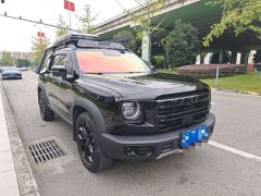 Great Wall Dachshund 1.5T DCT Border Collie Edition - ფოტო 3