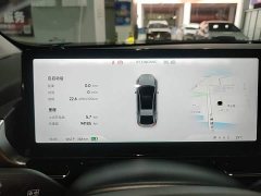XPeng P5 550E - ფოტო 11