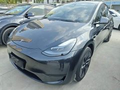 Tesla Model Y Rear-Wheel Drive - фото 1