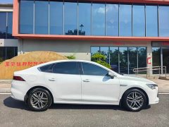 BYD Qin Plus DM-i 55KM Flagship - фото 10