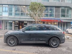 Leapmotor Leapo C11 Pure Electric 500 Comfort Edition - photo 10