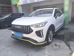 Haval Chitu Jingxiang Edition 1.5T Purple Copper Rabbit - ფოტო 1
