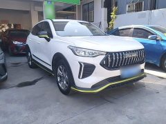 Haval Chitu Jingxiang Edition 1.5T Purple Copper Rabbit - ფოტო 3