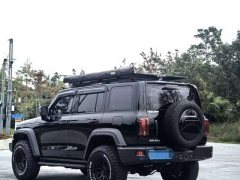 Tank 300 Off-Road Edition 2.0T Conqueror - ფოტო 7