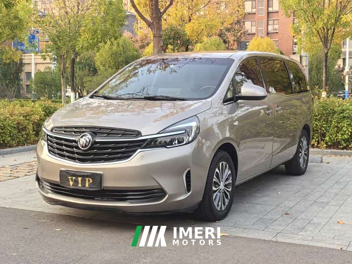 Buick GL8 Land Official Business Class 652T Comfort Edition - car from China