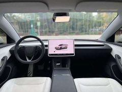 Tesla Model 3 Rear-Wheel Drive - ფოტო 6