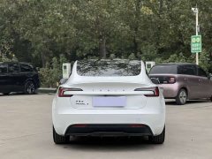 Tesla Model 3 Rear-Wheel Drive - ფოტო 8