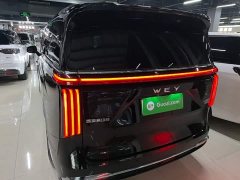 Great Wall WEY Shanshan New Energy Four-Wheel Drive Shanshan 8 - фото 5