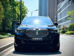 BMW X5 (Imported) xDrive40i M Sport Package - photo 2