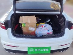 Geely Xingrui 2.0T Diesel Luxury - фото 15