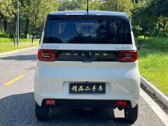 Wuling Hongguang MINIEV Zizai Trim Ternary Lithium - photo 13