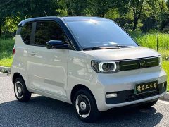 Wuling Hongguang MINIEV Zizai Trim Ternary Lithium - photo 3