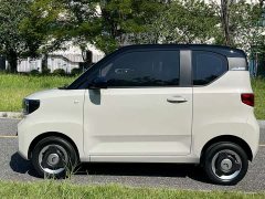 Wuling Hongguang MINIEV Zizai Trim Ternary Lithium - photo 8
