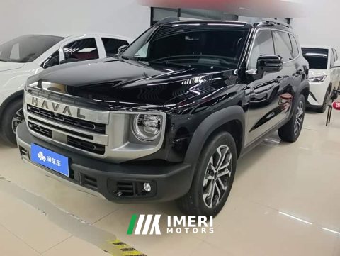 2024 Great Wall Dachshund 1.5T DCT Border Collie Edition - car from China