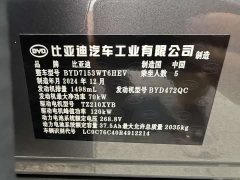 BYD Qin L DM-i 80KM Excellence Edition - photo 15